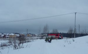 Пожарные новой Москвы спасли косулю