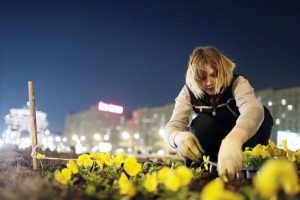 Фото: "Вечерняя Москва"