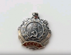 В центре столицы задержан подозреваемый в сбыте государственных наград СССР. Фото: скриншот youtube, RomCoins