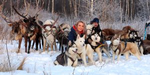 В восьми столичных парках на новогодние каникулы будет организовано катание на собачьих упряжках. Фото: mos.ru