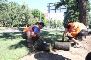 Основные работы по благоустройству завершили в районе по одному адресу. Фото: Антон Гердо, «Вечерняя Москва»