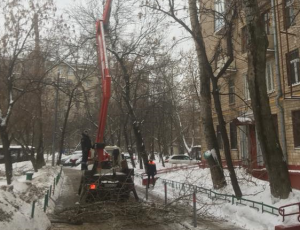 Тополи кронировали на Нижегородской улице. Фото предоставлено в ГБУ «Жилищник»