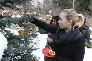 Активисты Молодежной палаты района пригласили горожан посетить акцию «Птичье кафе». Фото: архив, «Вечерняя Москва»