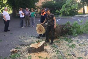 Аварийное дерево спилили на Воронцовской улице. Фото предоставлено сотрудниками ГБУ «Жилищник»