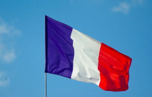 Во Франции ввели аналогичную московской систему пропусков. Фото: pixabay.com