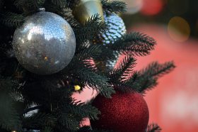 Новогодний концерт состоится в ГМПИ. Фото: Анна Быкова, « Вечерняя Москва»