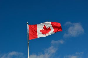 Открытие дней культуры Канады проведет «Иностранка» в формате онлайн. Фото: pixabay.com