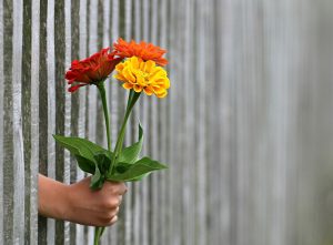 Дарите женщинам цветы: выставку откроет «Стимул». Фото: pixabay.com