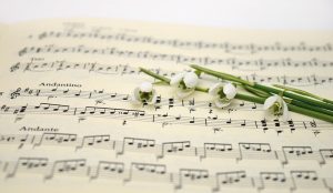Музыкальный концерт «Березовый край» пройдет в библиотеке имени Петра Юргенсона. Фото: Pixabay.com