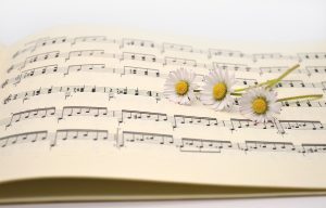 Музыкальный вечер «Поющая весна» проведут в библиотеке имени Петра Юргенсона. Фото: pixabay.com