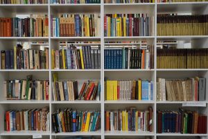 Библиотека иностранной литературы стала проектом века. Фото: Денис Кондратьев
