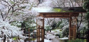 Фотовыставку «Японский сад» откроют в «Стимуле». Фото: сайт ДК «Стимул»