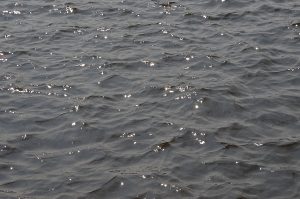 День океанов отметили в ДДТ «На Таганке». Фото: Анна Быкова, «Вечерняя Москва»