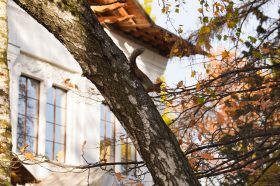 Празднование Дня народного единства организуют в Таганском парке. Фото: Ксения Догонашева, «Вечерняя Москва»