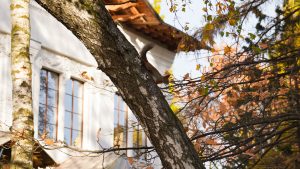 Празднование Дня народного единства организуют в Таганском парке. Фото: Ксения Догонашева, «Вечерняя Москва»