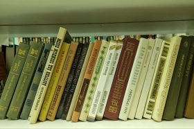 Встреча из цикла «Перевод-искусство» пройдёт в «Иностранке». Фото: Алина Иржанова, «Вечерняя Москва»