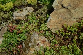 Лекция «Природа библейских земель» состоится в центральной библиотеке №15. Фото: Анна Быкова, «Вечерняя Москва»