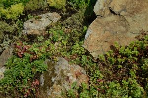 Лекция «Природа библейских земель» состоится в библиотеке №15. Фото: Анна Быкова, «Вечерняя Москва» 