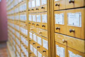 Об Аграханском заливе расскажут в библиотеке №15. Фото: Ксения Догонашева, «Вечерняя Москва»