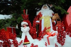 Концерт «Снегурочка и Снежный осьминог» организуют в библиотеке №16. Фото: Анна Быкова, «Вечерняя Москва»