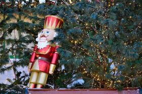 Знакомство с героиней пьесы Александра Островского пройдет в библиотеке №14. Фото: Анна Быкова, «Вечерняя Москва»