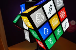 Интерактивная встреча о последовательности Фибоначчи в живой природе пройдет в библиотеке №14. Фото: Анна Быкова, «Вечерняя Москва»