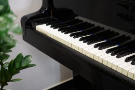 Комплексное мероприятие проведут в библиотеке №15. Фото: Анна Быкова, «Вечерняя Москва»